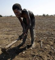 [:en]Malawi Food Crisis[:ro]Criză alimentară în Malawi[:]