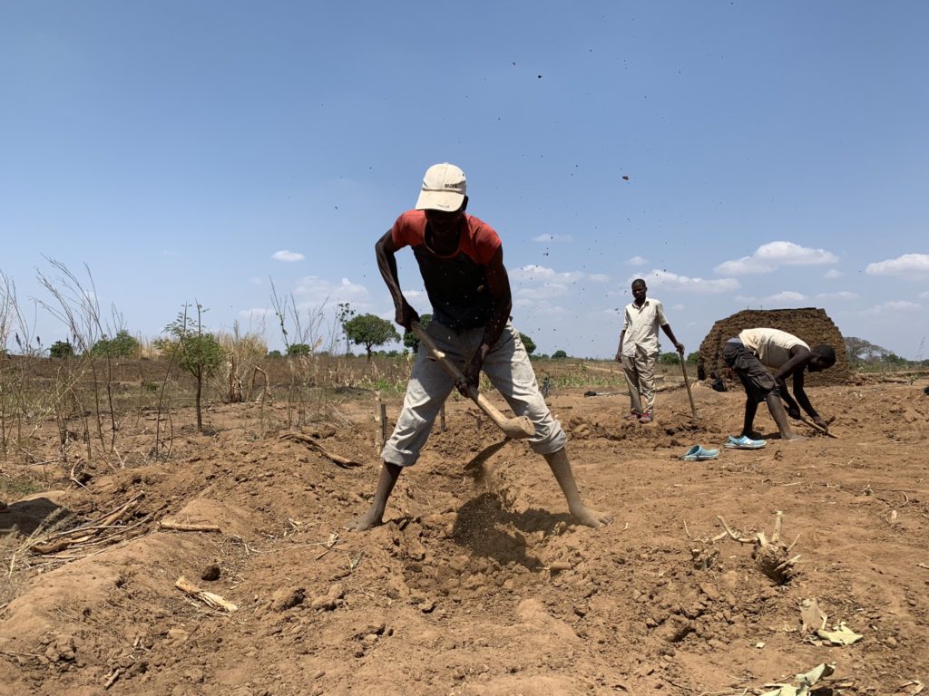 Building started in Nasedegu