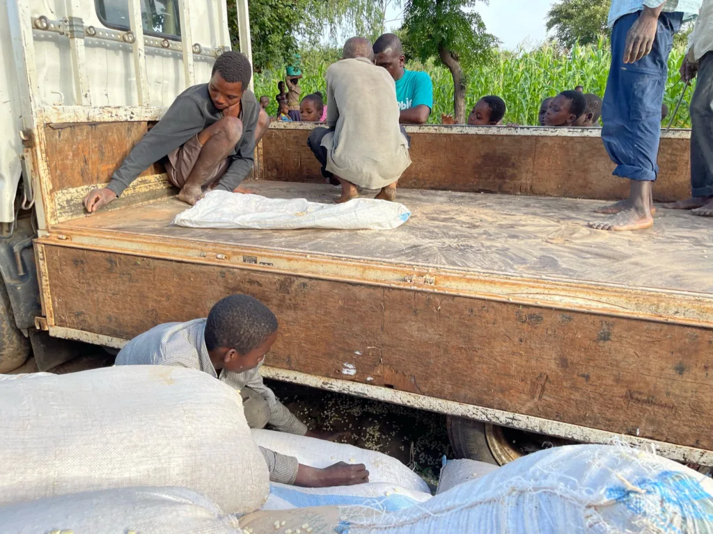 Corn Distribution in Muheriwa