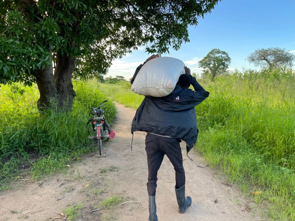 Corn Distribution in Muheriwa